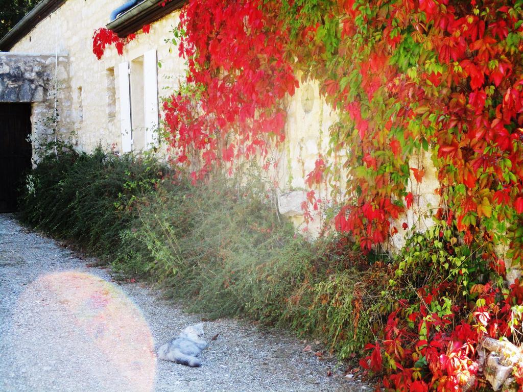 Gites Coeur De Lot Soucirac Exterior photo